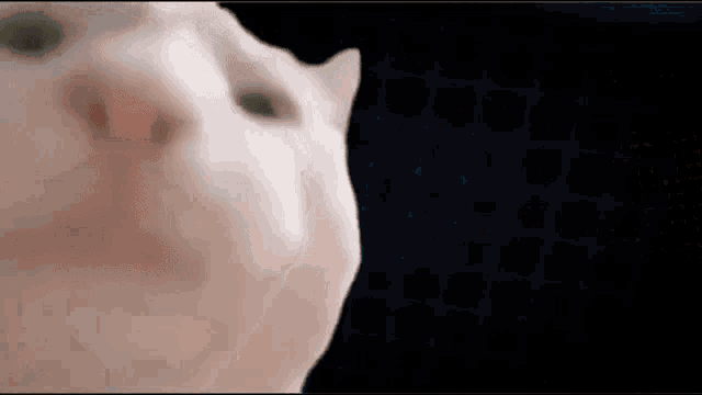 Diskette GIF